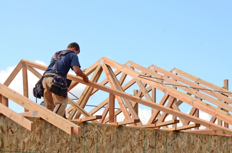 Roof Sheathing Service in Wilmington, NC